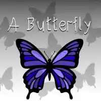 A Butterfly